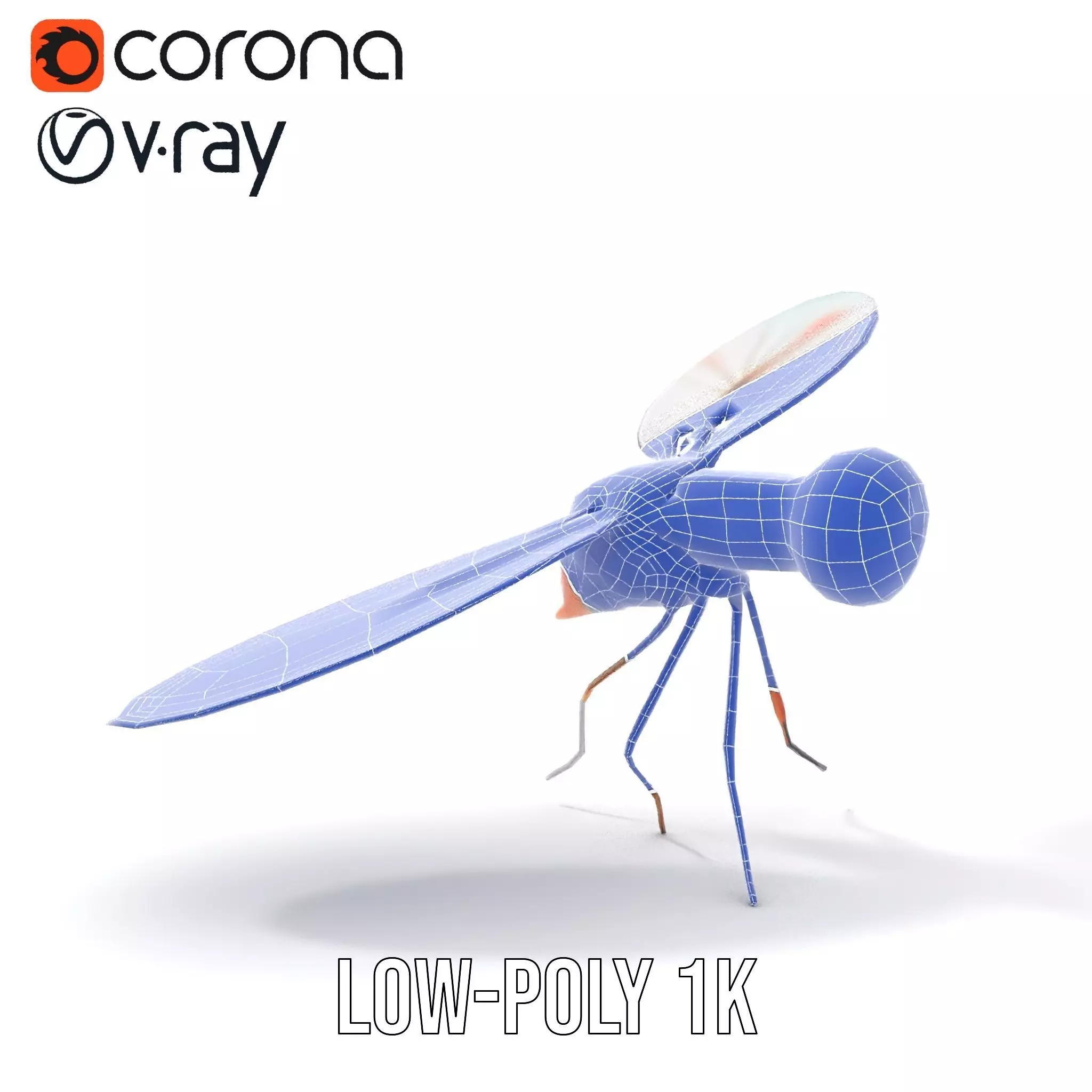 Colorful Dragonfly model pack Low-poly 3D model_29