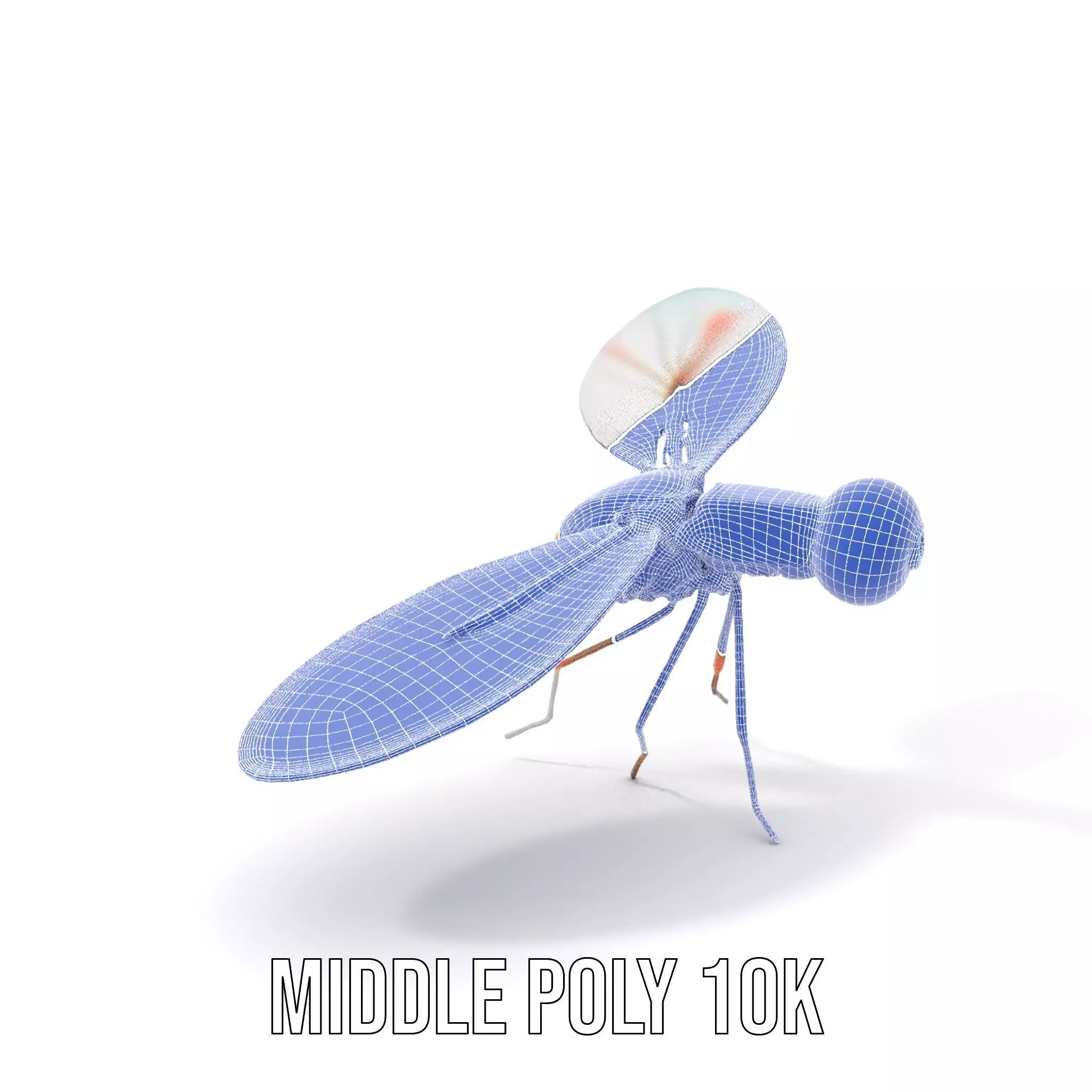 Colorful Dragonfly model pack Low-poly 3D model_28