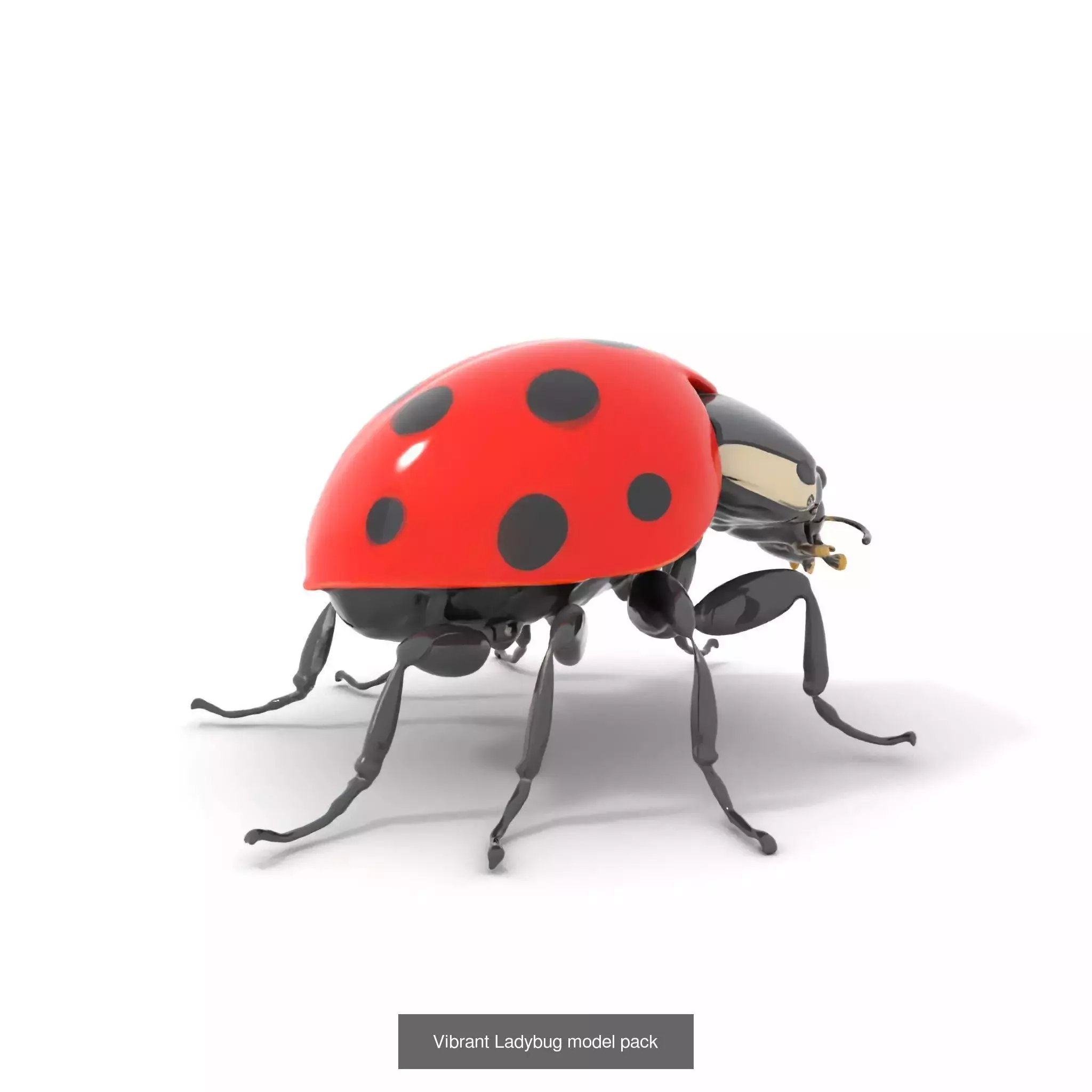 Exquisite Mechanical Insects Collection _60