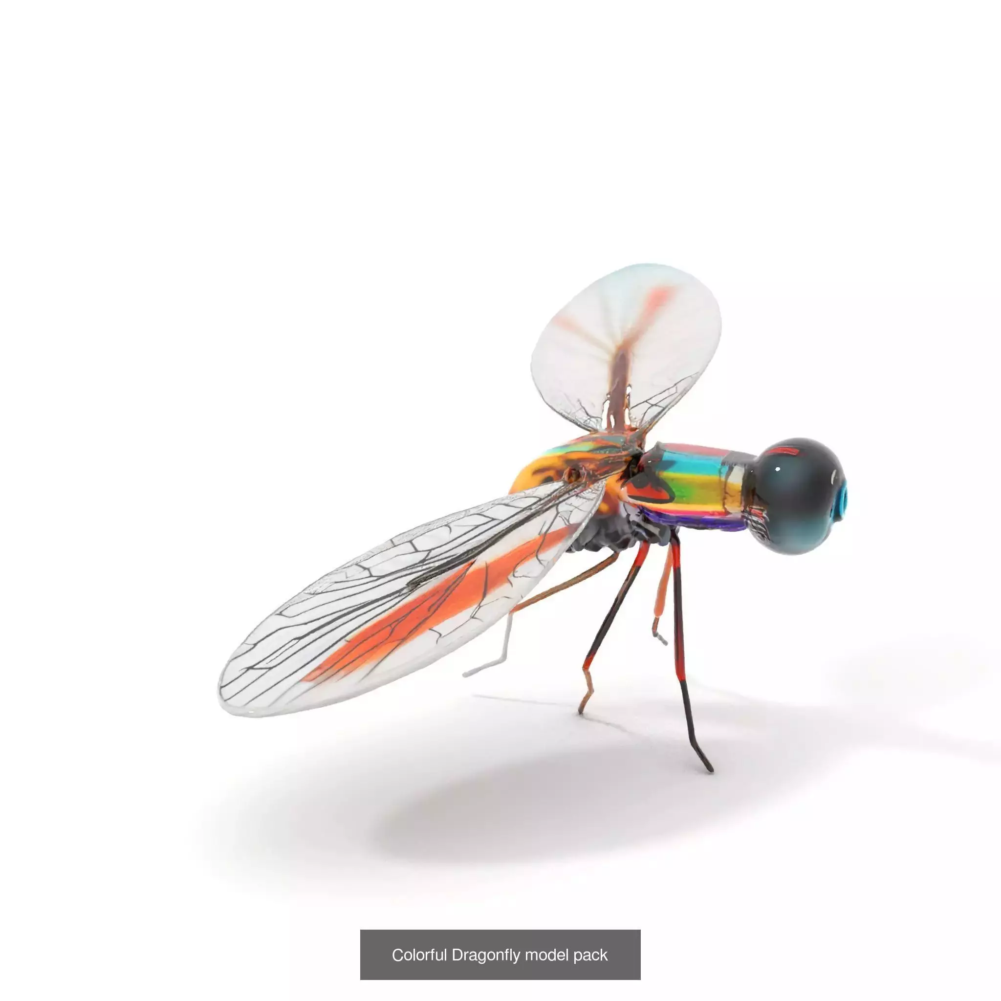 Exquisite Mechanical Insects Collection _61