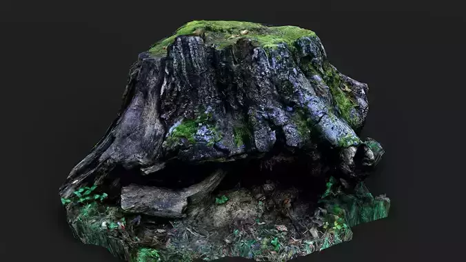large tree stump mossy roots PBR photogrammetry