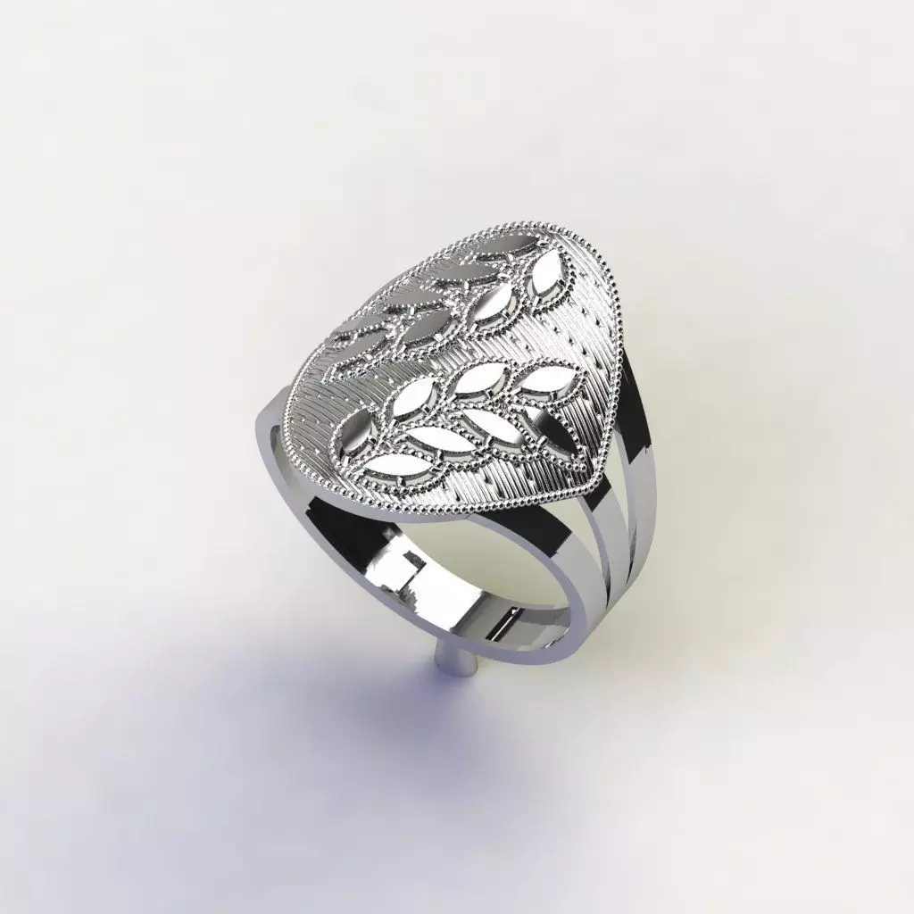 Rings Free 3D print model_1