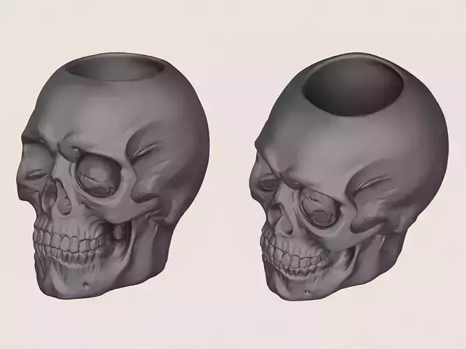 Skull Plant Pot