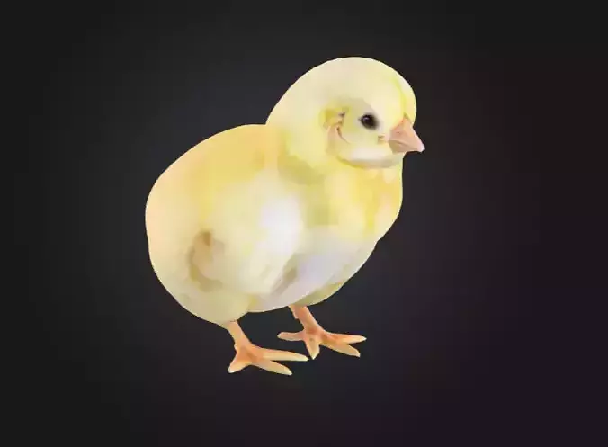 Golden Chick Blossom Low-poly 3D model