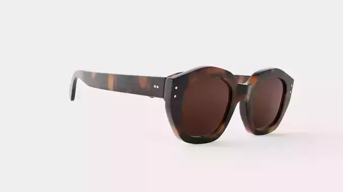 Diana Tortoise Sunglasses