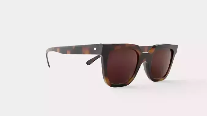 Dorothy Tortoise Sunglasses
