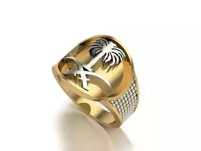 sintered men ring