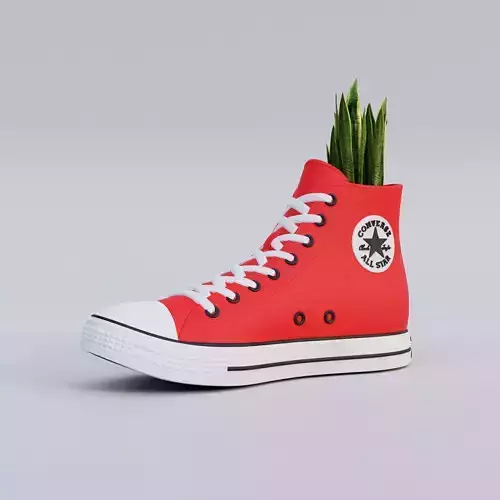 3D Printed Converse All Star  3D print model