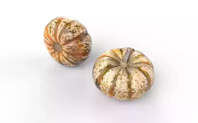 Pumpkin M02 Low-poly 3D model 6