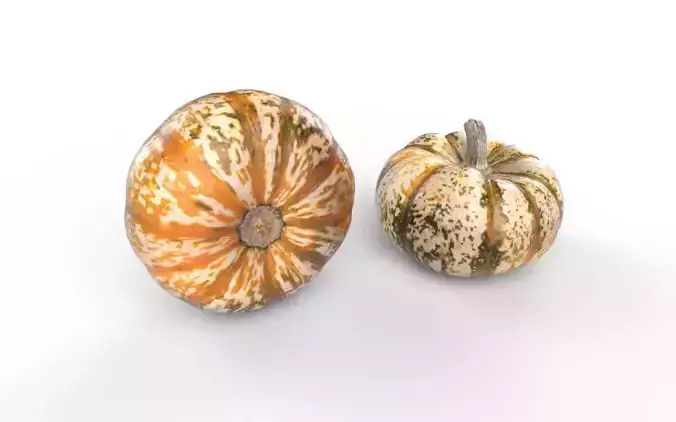 Pumpkin M02 Low-poly 3D model 5