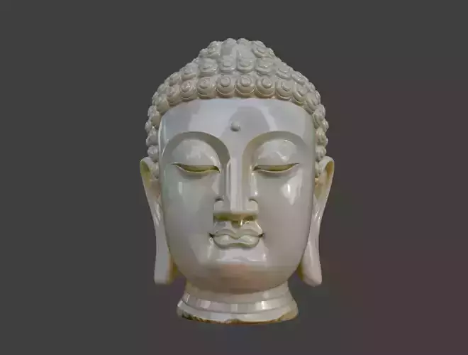 A statue of the Buddha Shakyamuni  head