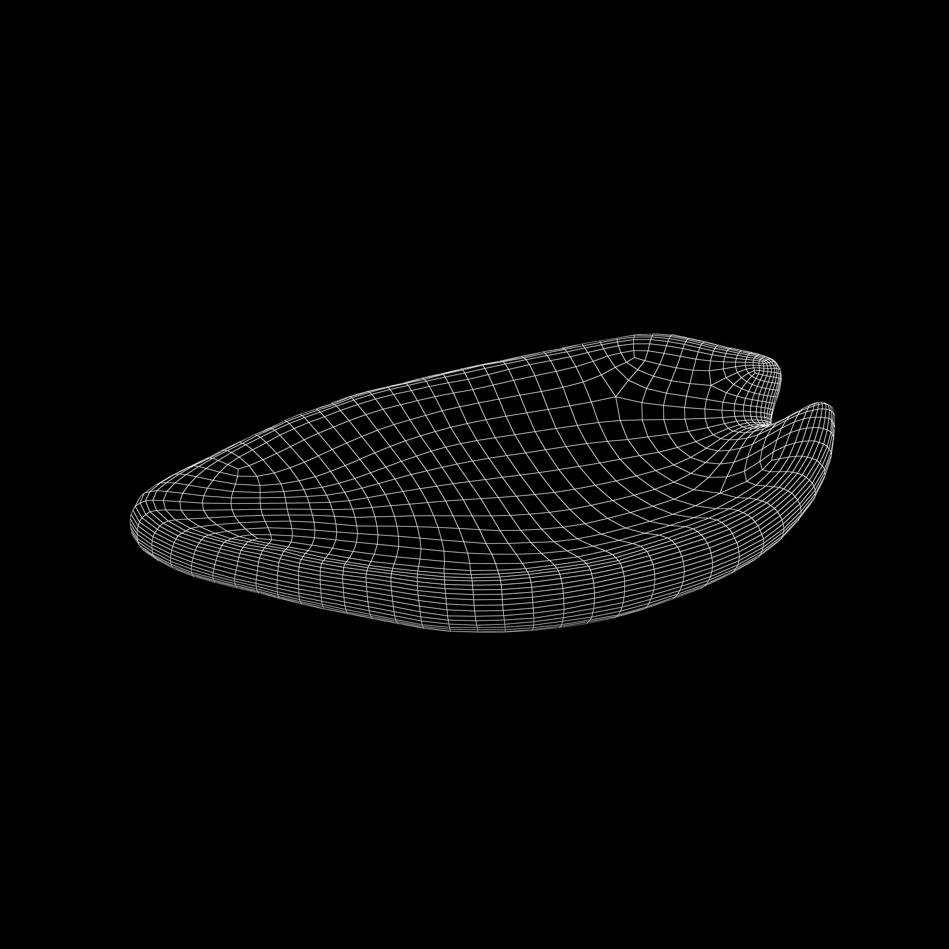 Petals Decoration Plate v1 002 Low-poly 3D model_4