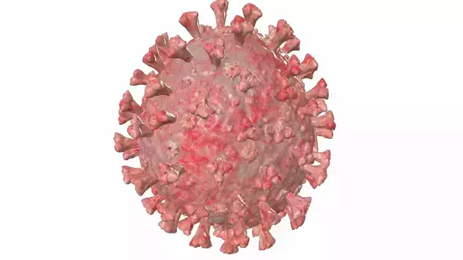 Corona Virus Covid