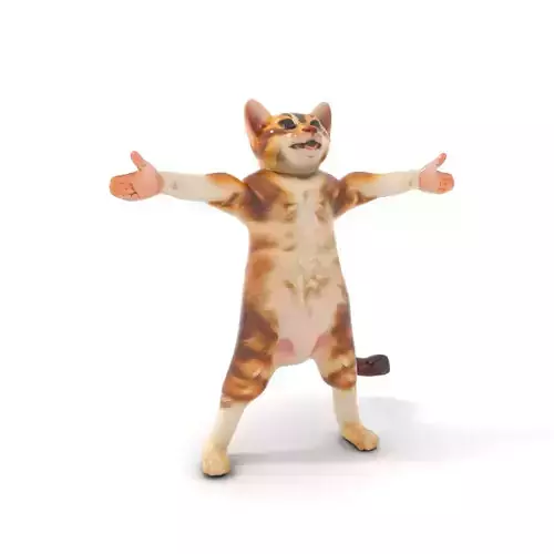 Playful Tabby Cat model pack Low-poly 3D model