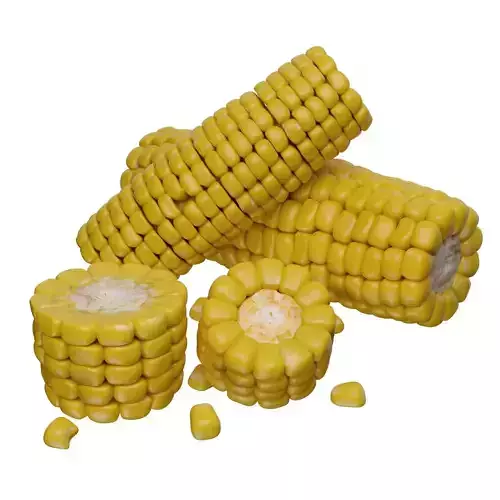 Corn cob in diffrent style
