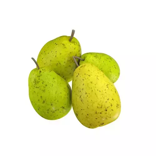 Pears fruit