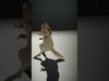Charming Rabbit model pack Low-poly 3D model_2