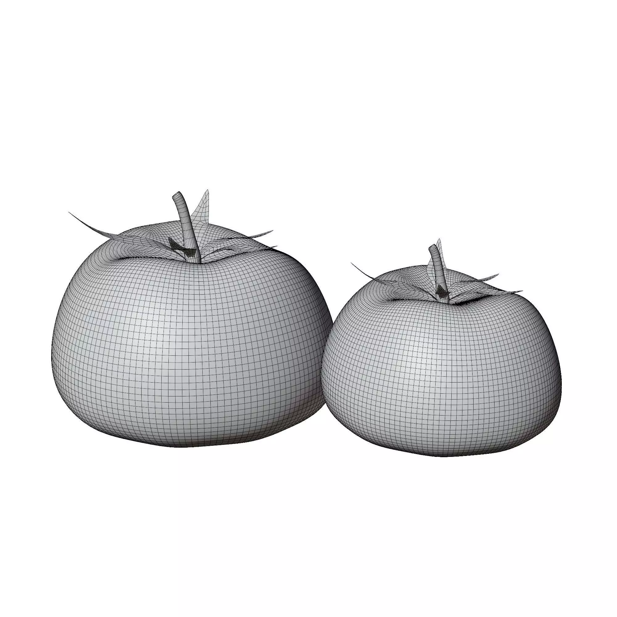 Tomatoes 3D model_3