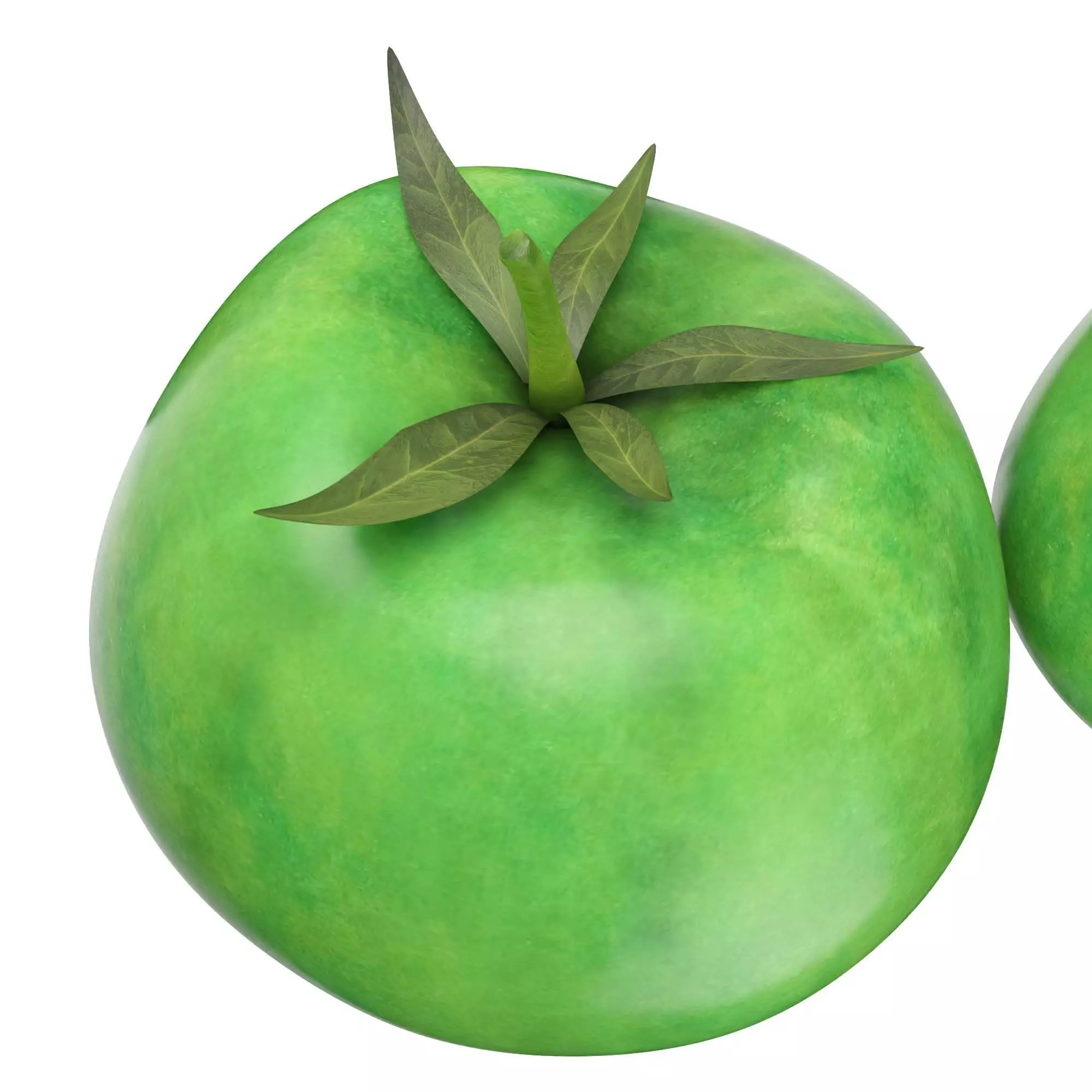 Tomatoes 3D model_1