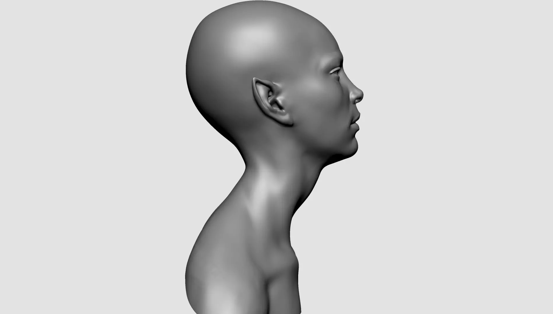Female Head J 3D model_3
