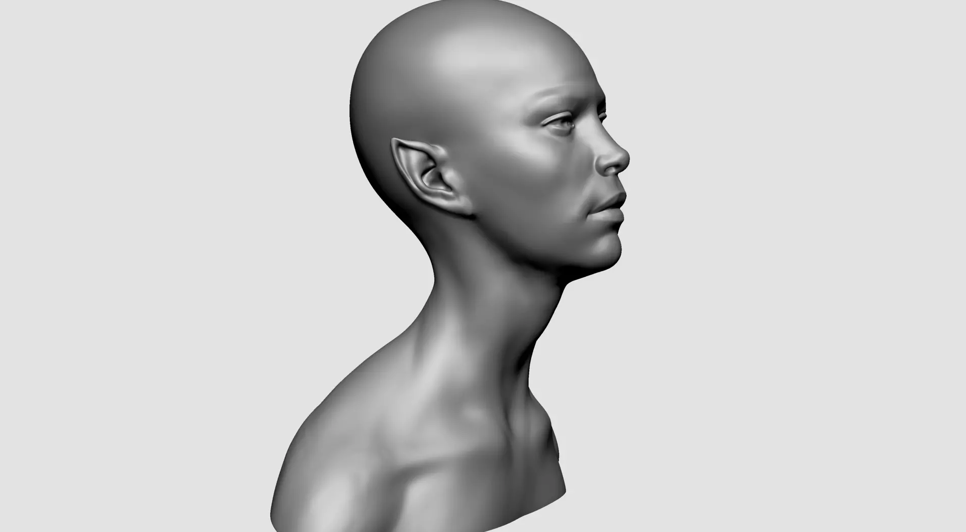Female Head J 3D model_2