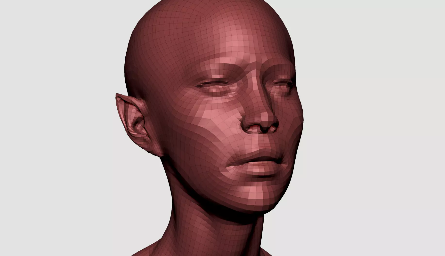Female Head J 3D model_10