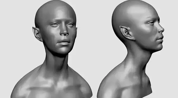 Female Head J 3D model
