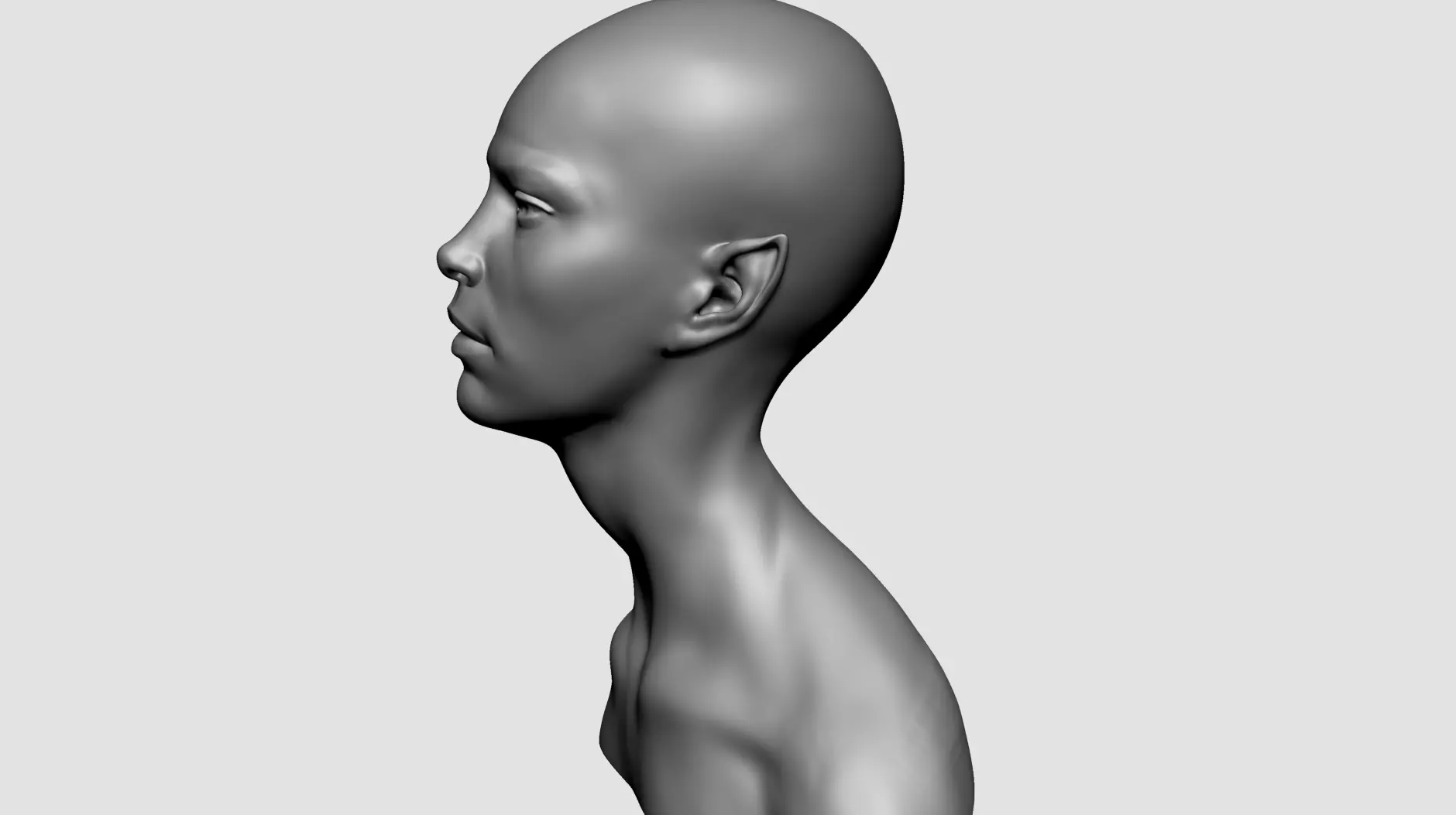 Female Head J 3D model_6