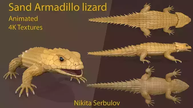 Sand Armadillo lizard 