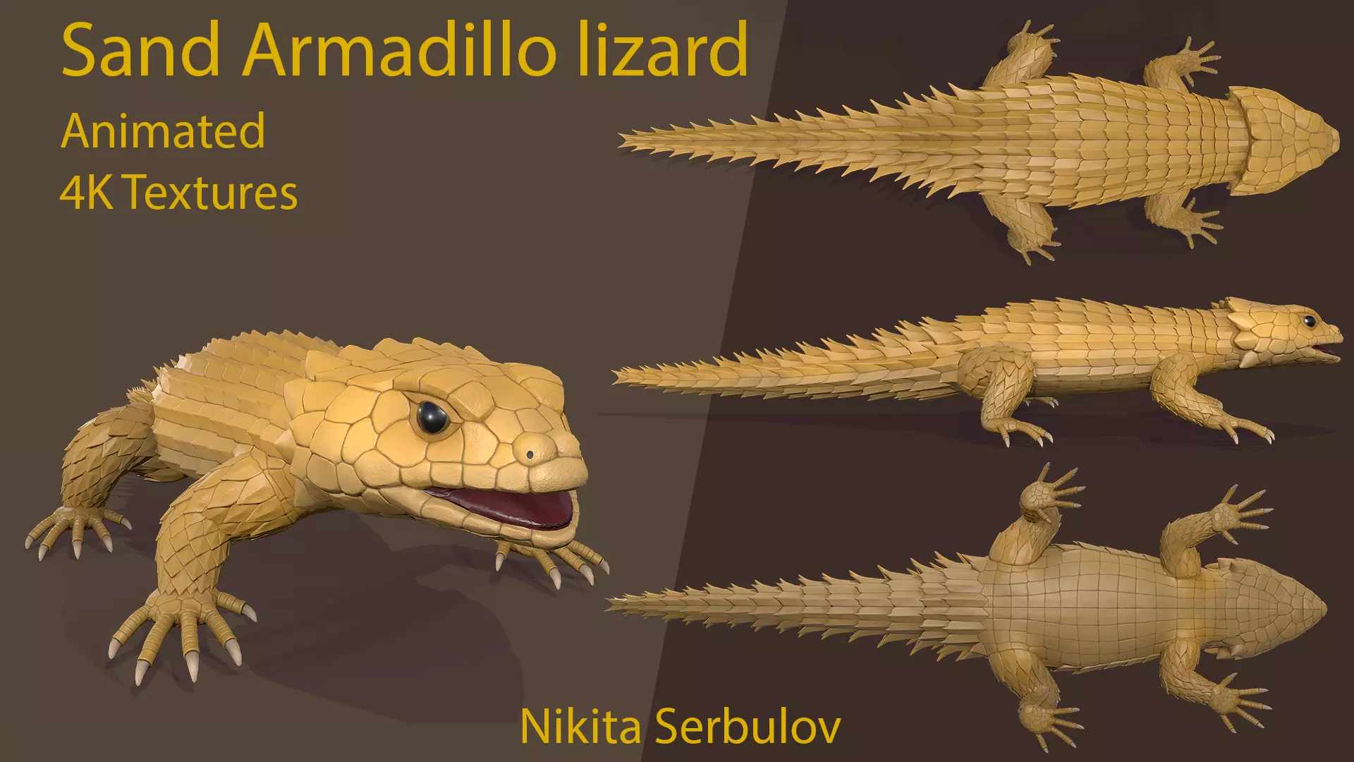 Sand Armadillo lizard Low-poly 3D model