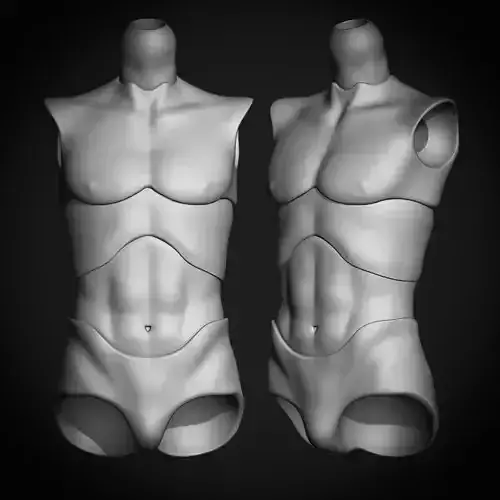 Anatomically Accurate Male BJD Doll Body 3D Model