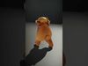 Charming Critters Collection _9