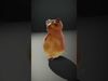 Charming Critters Collection _23