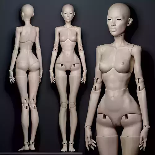 Realistic 3D model NM of a ball-jointed BJD doll with anatomy