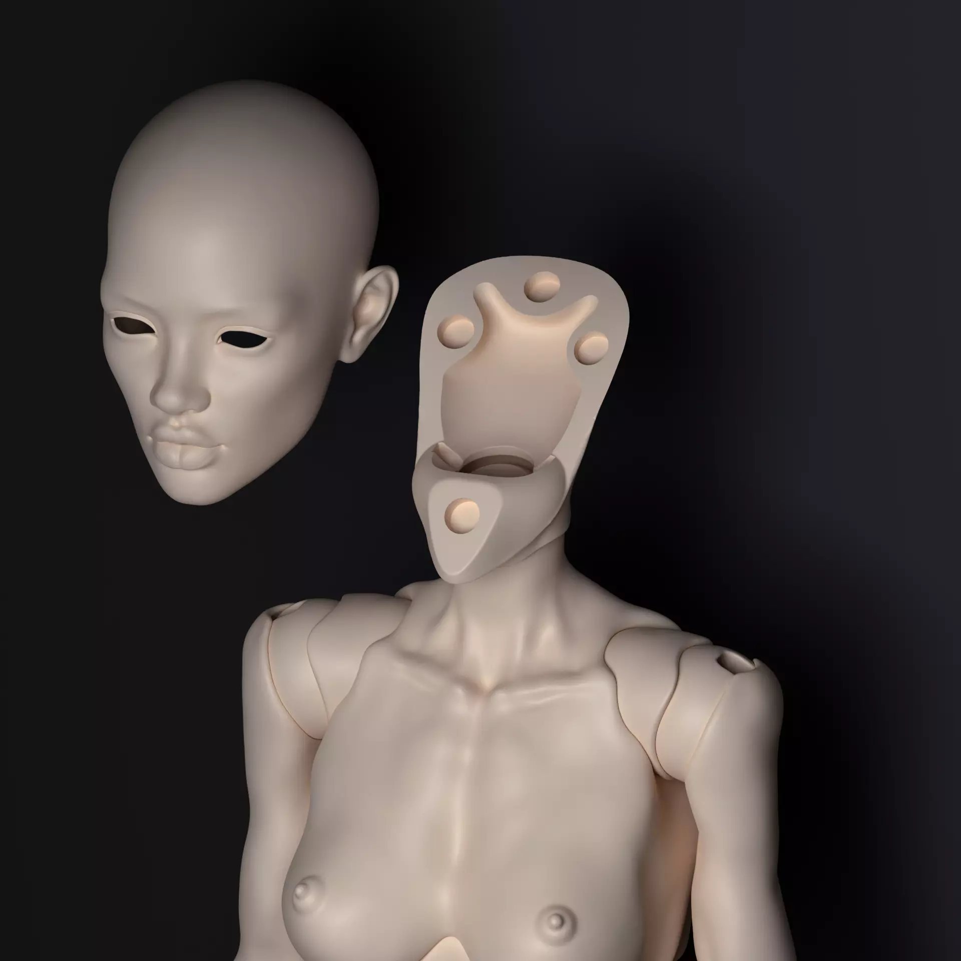 Realistic 3D model NM of a ball-jointed BJD doll with anatomy 3D model_7