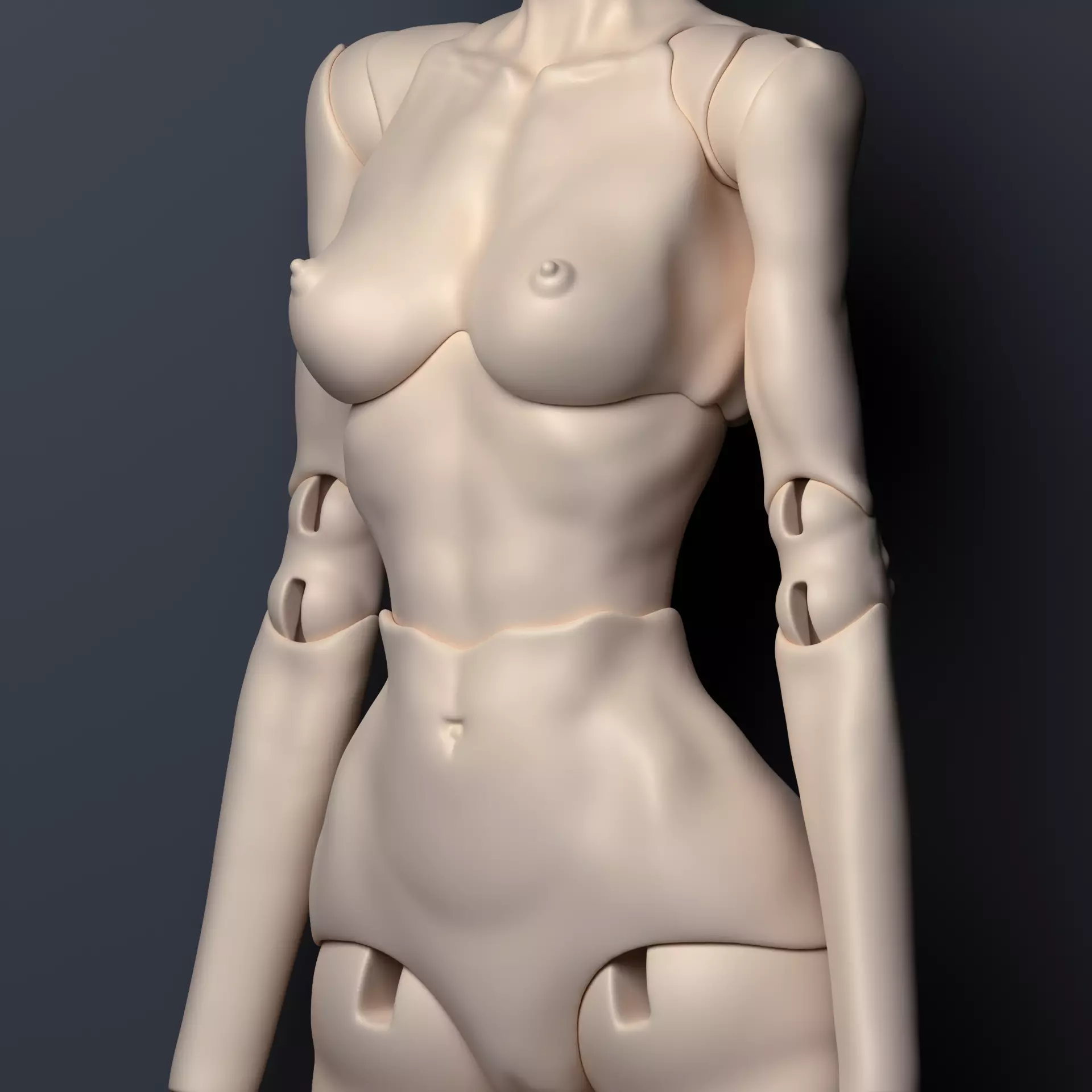 Realistic 3D model NM of a ball-jointed BJD doll with anatomy 3D model_4