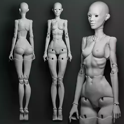 3D model WIKI of a ball-jointed BJD doll anatomical female