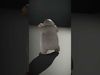 Whimsical Wildlife Lazy Cartoon Critters Collection _8