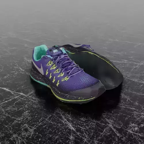 NIKE ZOOM PEGASUS 33 3D SHOES