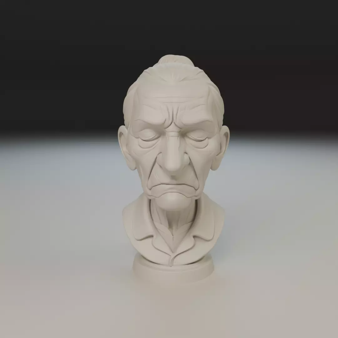 bust of old woman 3D print model_15