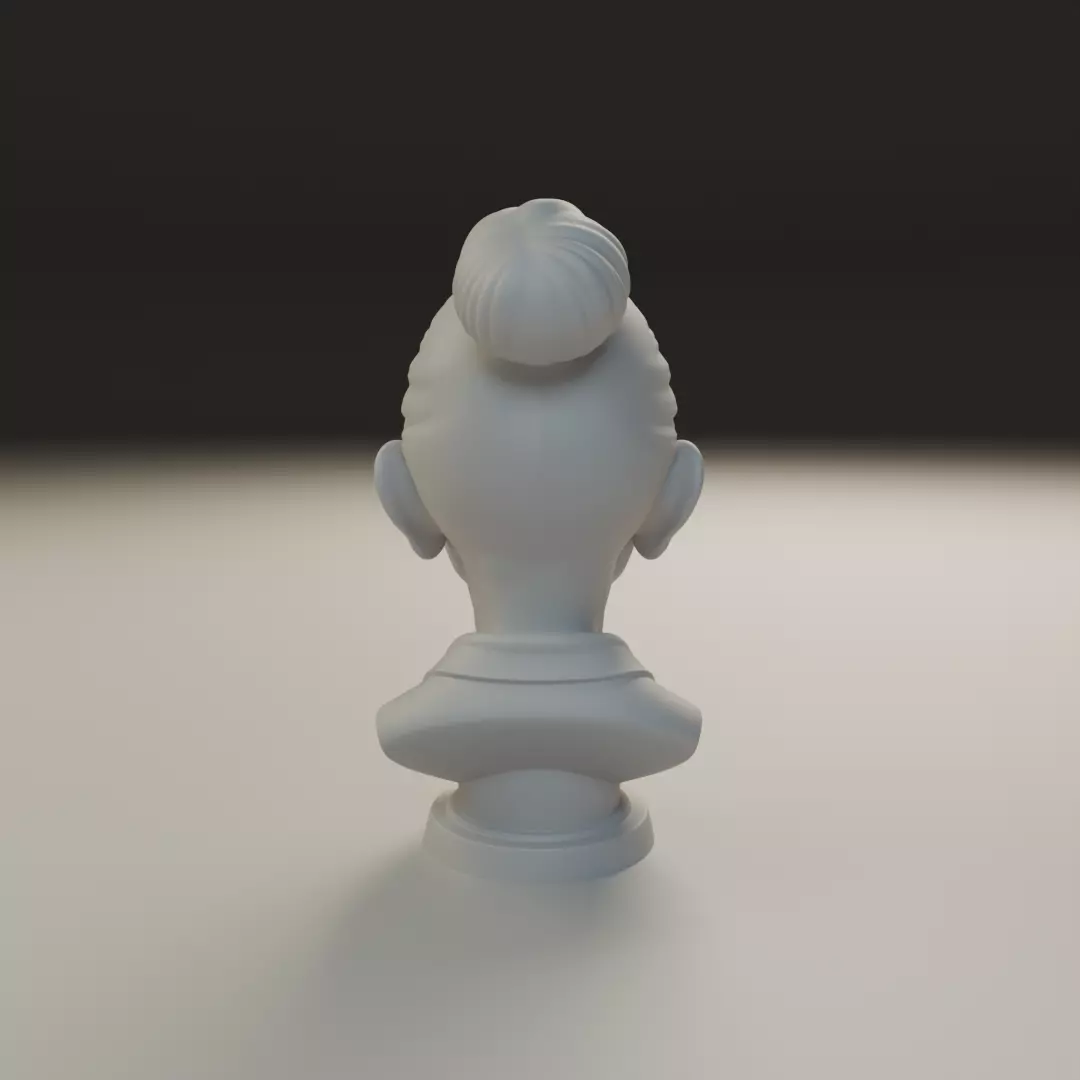 bust of old woman 3D print model_5
