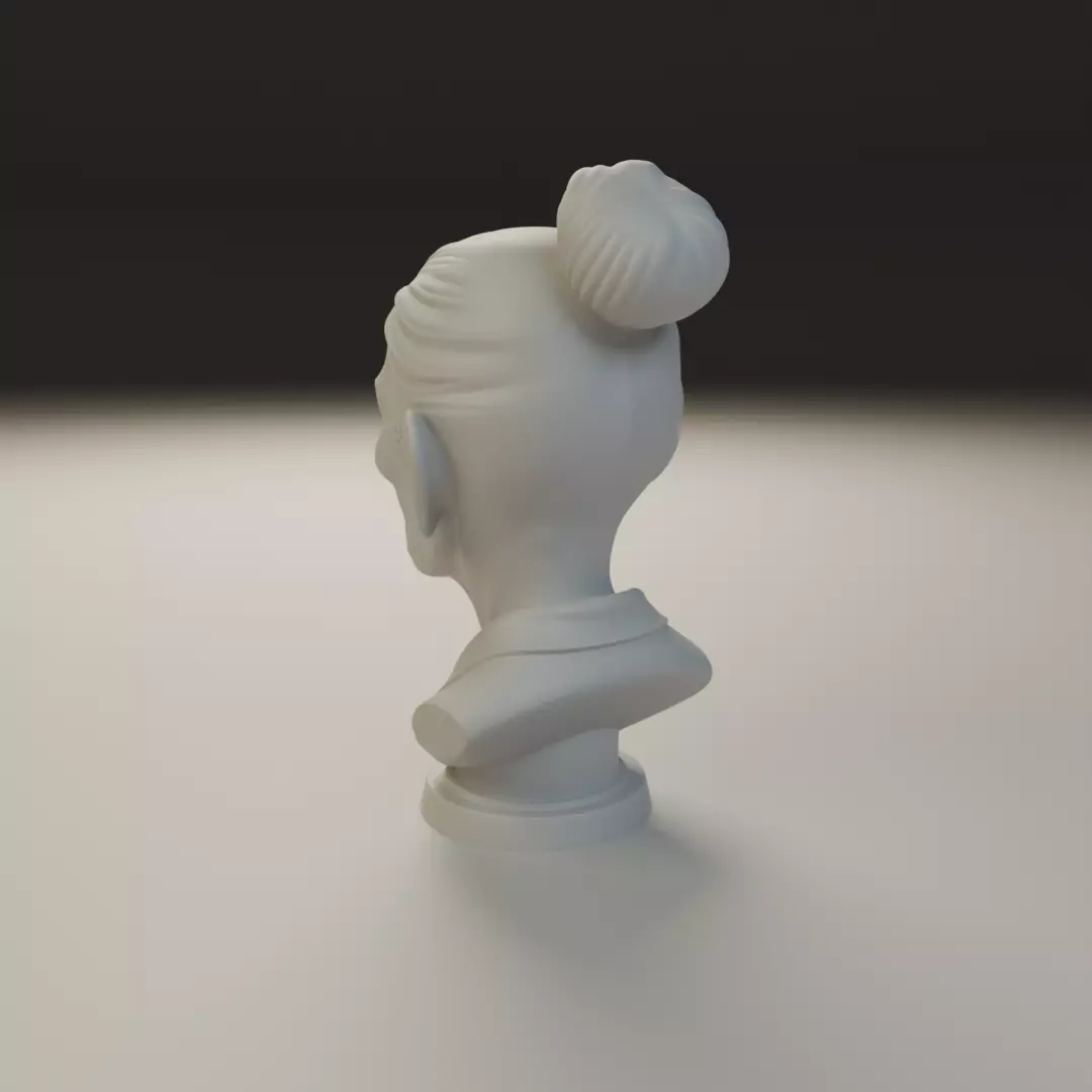bust of old woman 3D print model_7