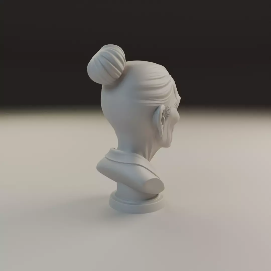 bust of old woman 3D print model_13