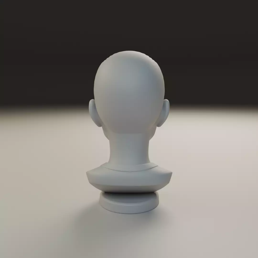 bust of old woman 3D print model_5