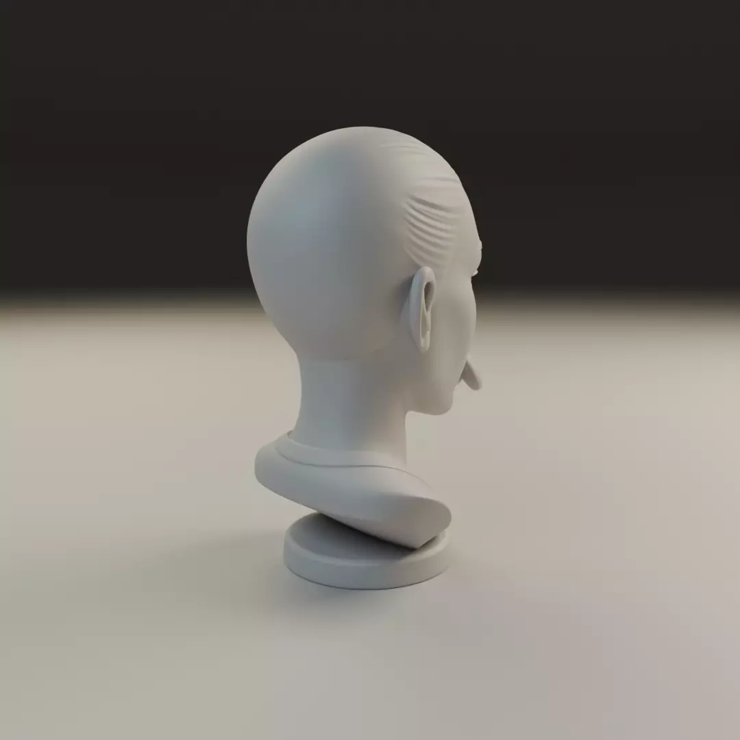 bust of old woman 3D print model_13