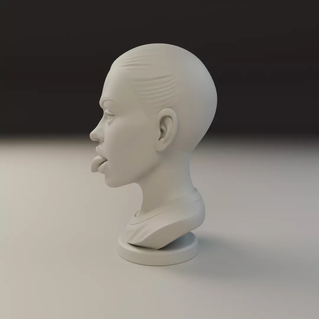bust of old woman 3D print model_3
