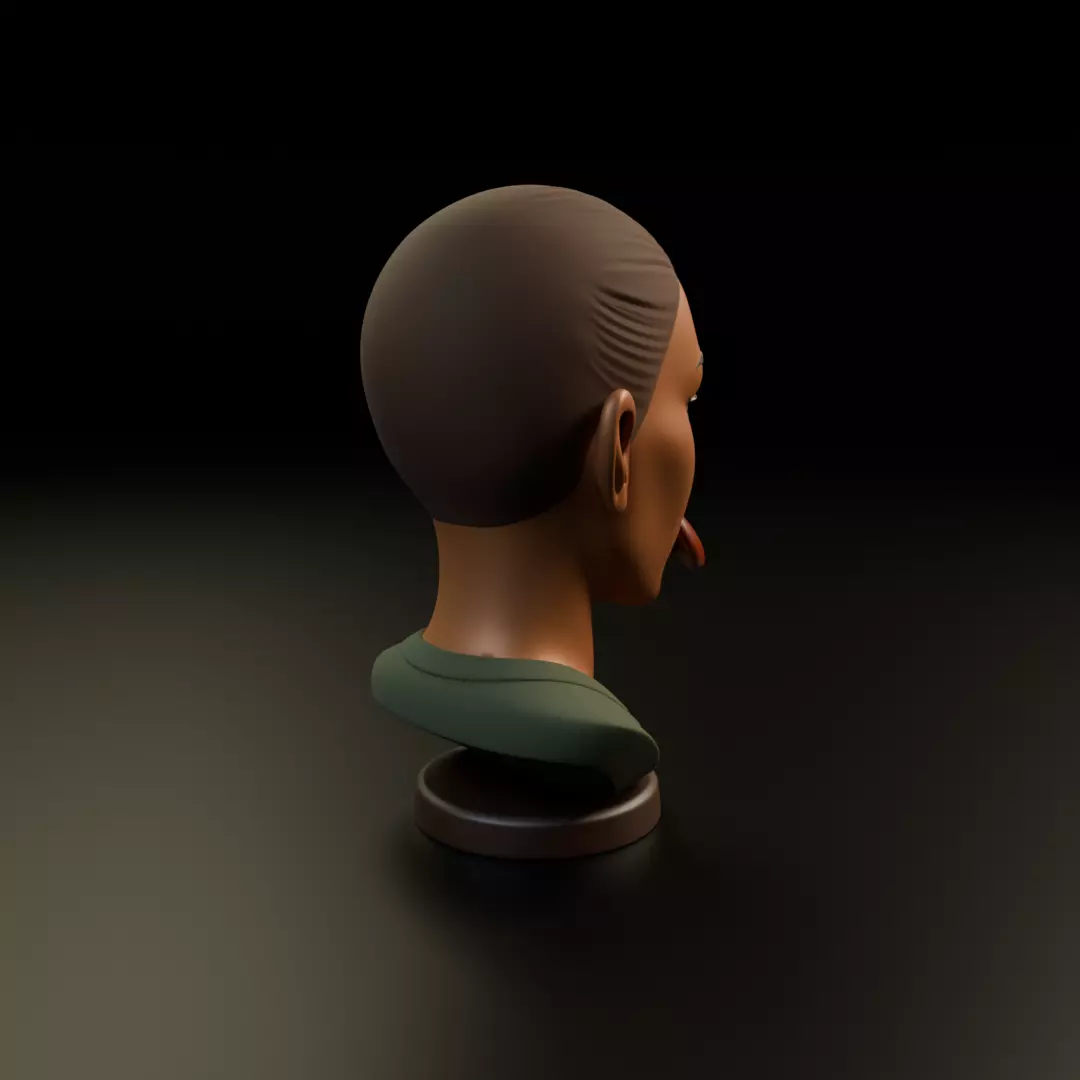 bust of old woman 3D print model_14