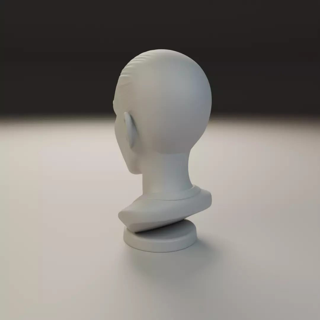 bust of old woman 3D print model_7
