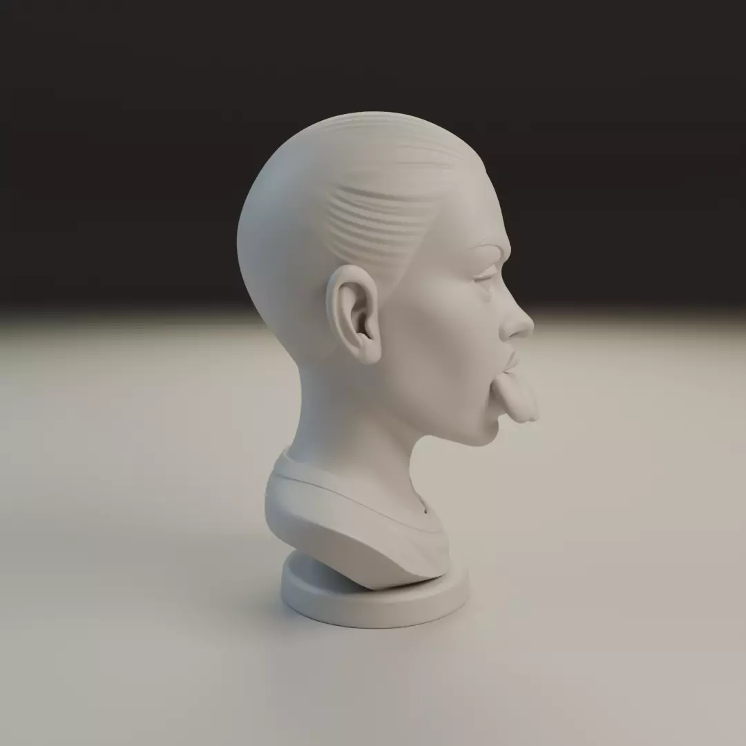 bust of old woman 3D print model_1