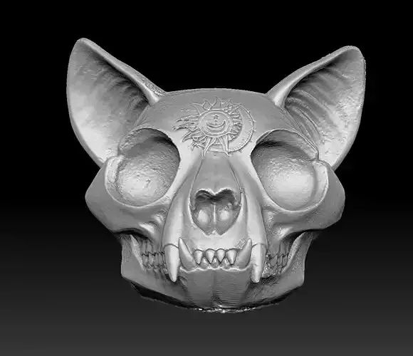 Witchy Cat skull Scan